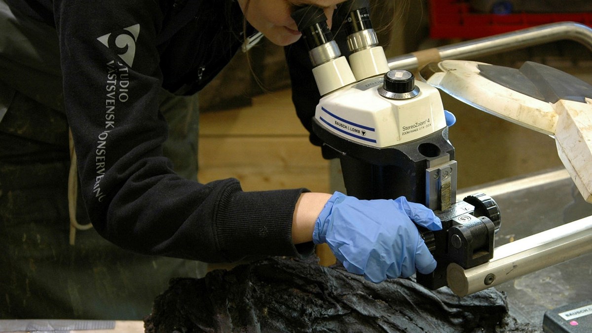 en person står framåtböjd och studerar en brun läderklump i ett mikroskop. Personen har ljusblå latexhandskar på sig och en tröja där dte står tryckt Studio Västsvensk Konservering på ärmen.