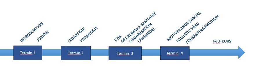 Schematisk bild av ST-utbildningsprogrammets uppbyggnad. Termin 1: Introduktion, juridik. Termin 2: Ledarskap i vård. Termin 3: Etik, det kliniska samspelet, organisation, läkemedel. Termin 4: Motiverande samtal, palliativ vård, försäkringsmedicin. FoU-kurs.