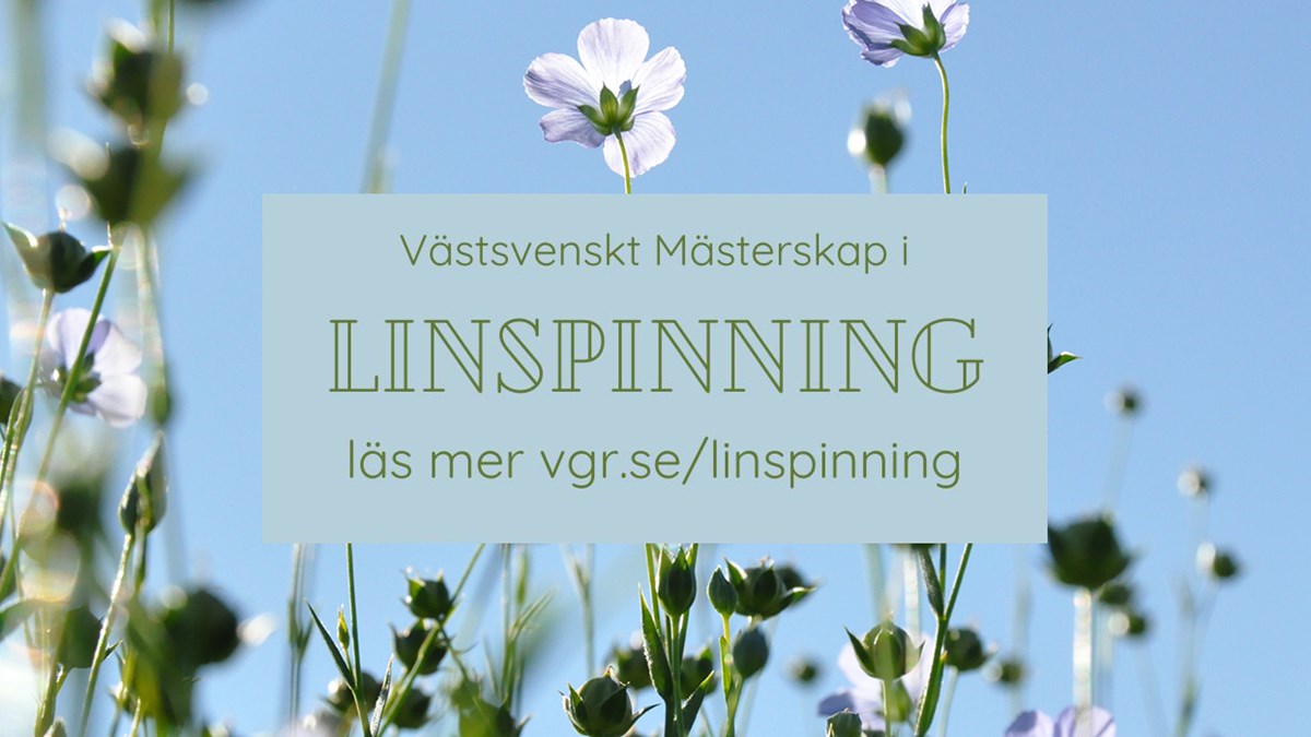 Västsvenskt Mästerskap i Linspinning. Läs mer vgr.se/linspinning