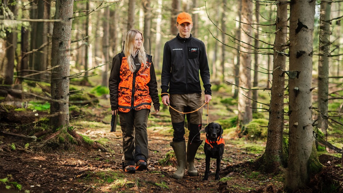 Två jaktelever med hund promenerar i skogen