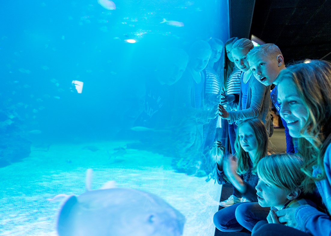 kvinna och barn tittar i akvarie